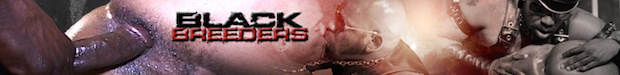 Black Breeders | Dayum, Daddy! (Gant Black & Capri Quarius)