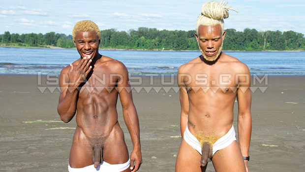 Island Studs | Timarrie Baker and Jaydee