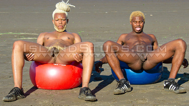 Island Studs | Timarrie Baker and Jaydee