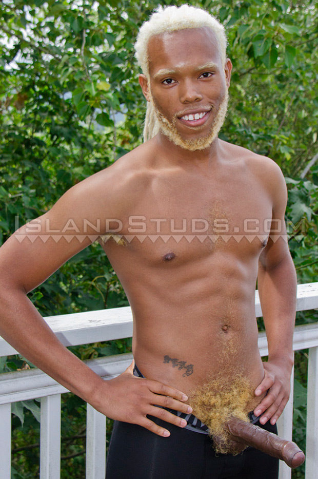 Island Studs | Timarrie Baker