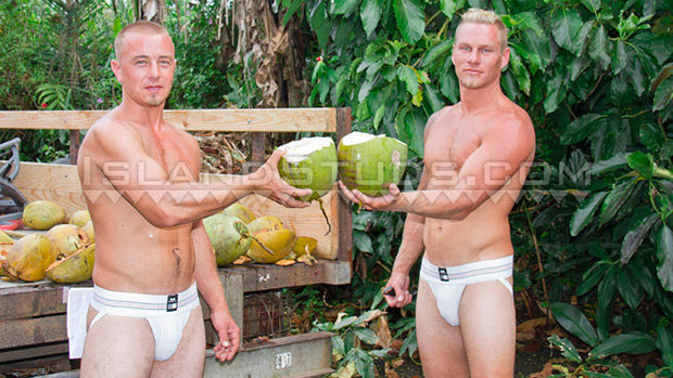 Island Studs | Brett and Calvin