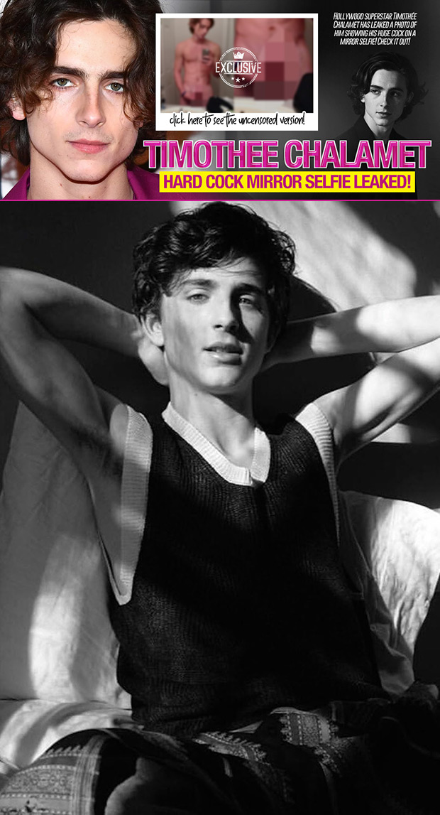 Hollywood Xposed | Timothee Chalamet