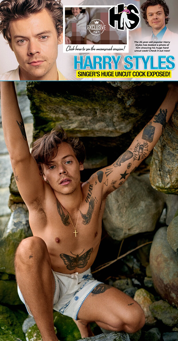 Hollywood Xposed | Harry Styles