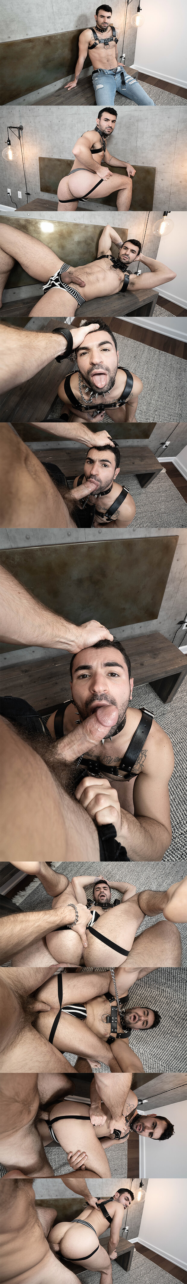 Bromo | Ian Greene: POV Sub Bitch